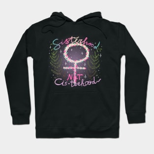 sisterhood not cis-terhood Hoodie